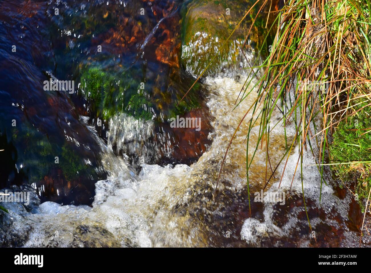 Taumelndes Wasser im Bach, Hardcastle Crags, National Trust, Hebden Bridge, West Yorkshire Stockfoto