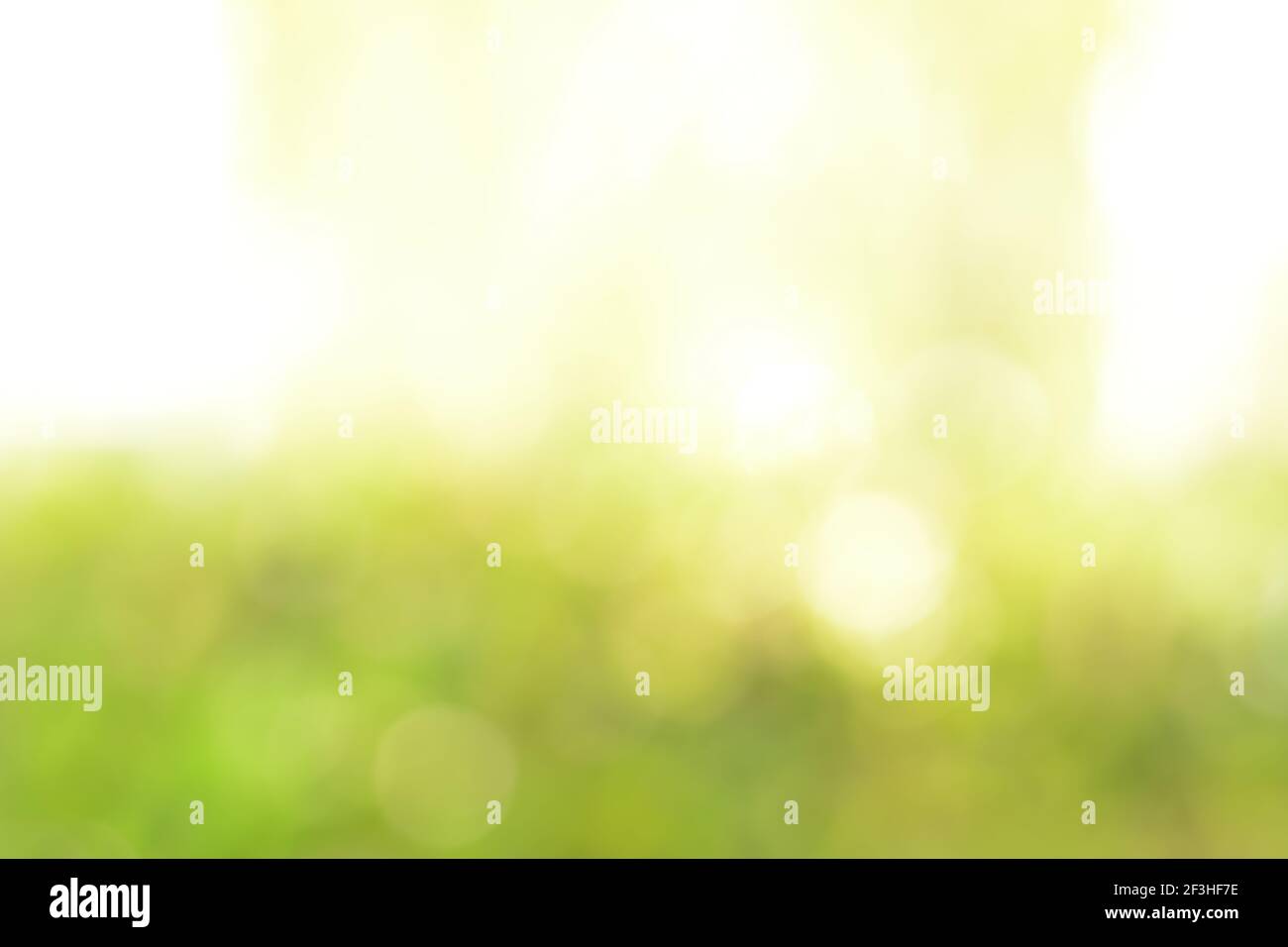 Abstrakter weißer und grüner Bokeh-Hintergrund Stockfoto