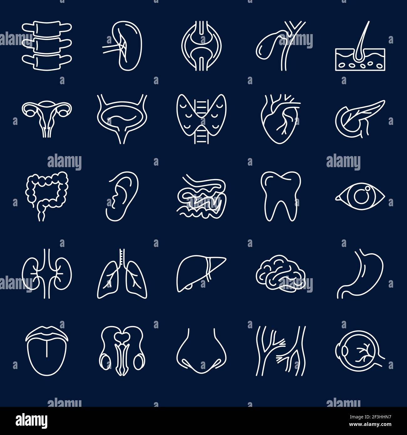Symbol für menschliche innere Organe im dünnen Linienstil. Sammlung medizinischer Symbole. Vektorgrafik. Stock Vektor