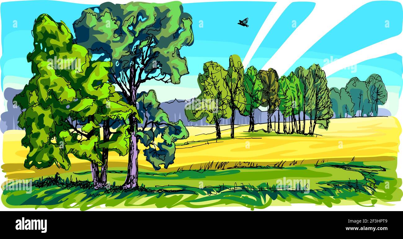Sommerlandschaft mit einem Feld und einer Gruppe von Bäumen. Eines der vier Gemälde der Jahreszeiten. Die Bäume sind grün. Weizen reift auf dem Feld. Stock Vektor