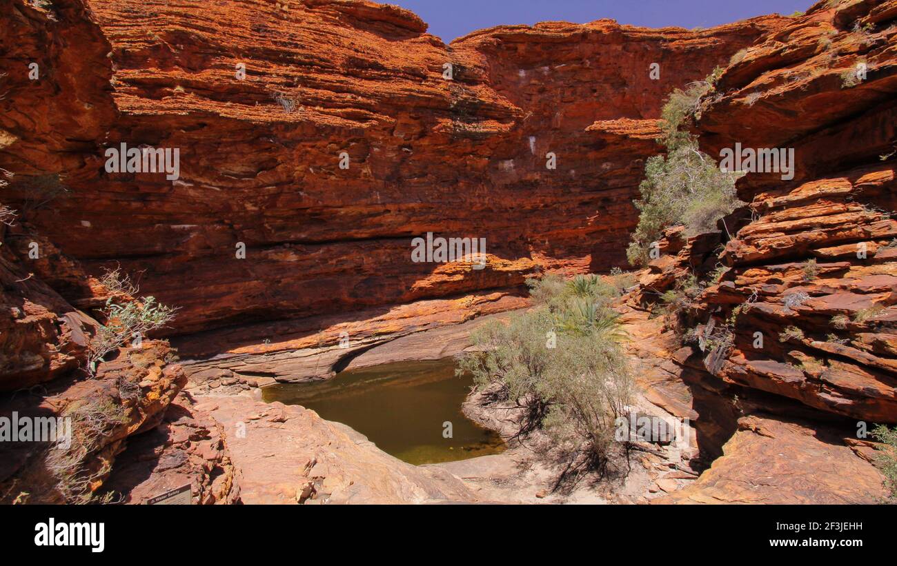 Garten Eden im Kings Canyon National Park im Norden Gebiet in Australien Stockfoto