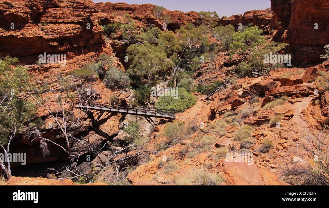 Garten Eden im Kings Canyon National Park im Norden Gebiet in Australien Stockfoto