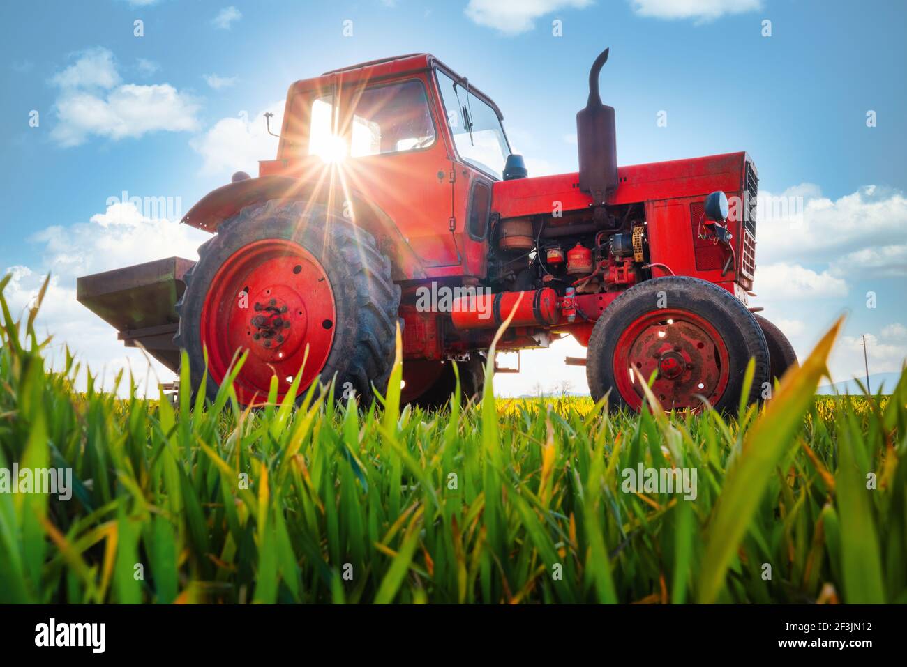 Traktor düngt Weizenfeld Stockfoto
