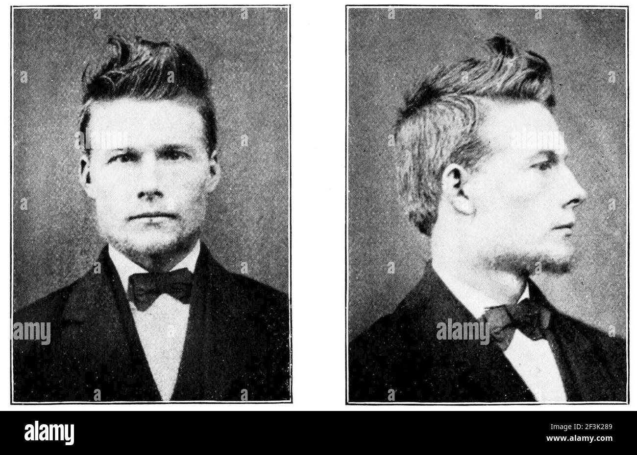 Skandinavischer Mischtyp von shetland Inseln. Stockfoto