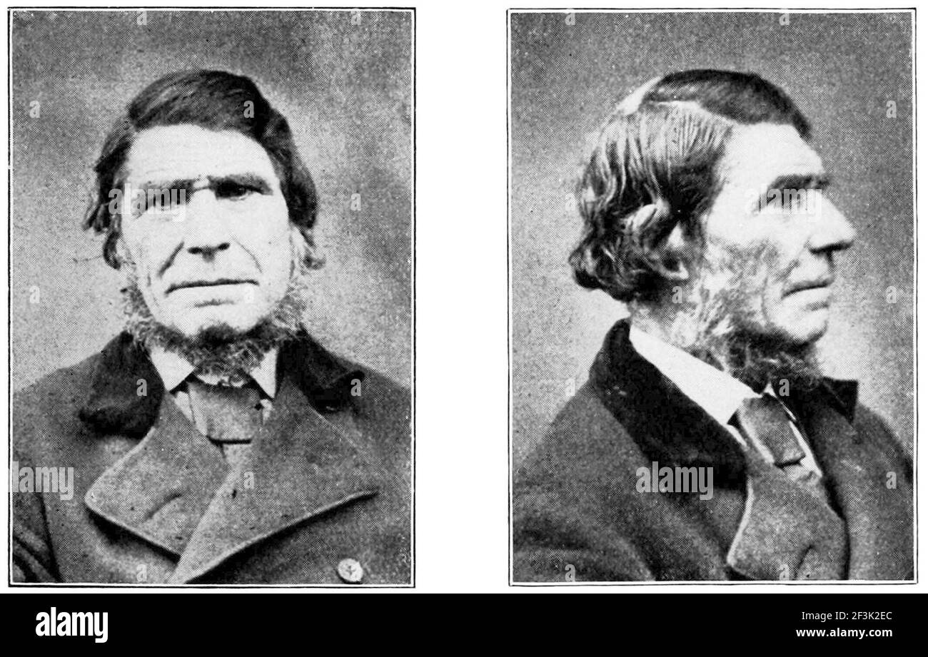 Schwarze Rasse von den shetland Inseln. Stockfoto