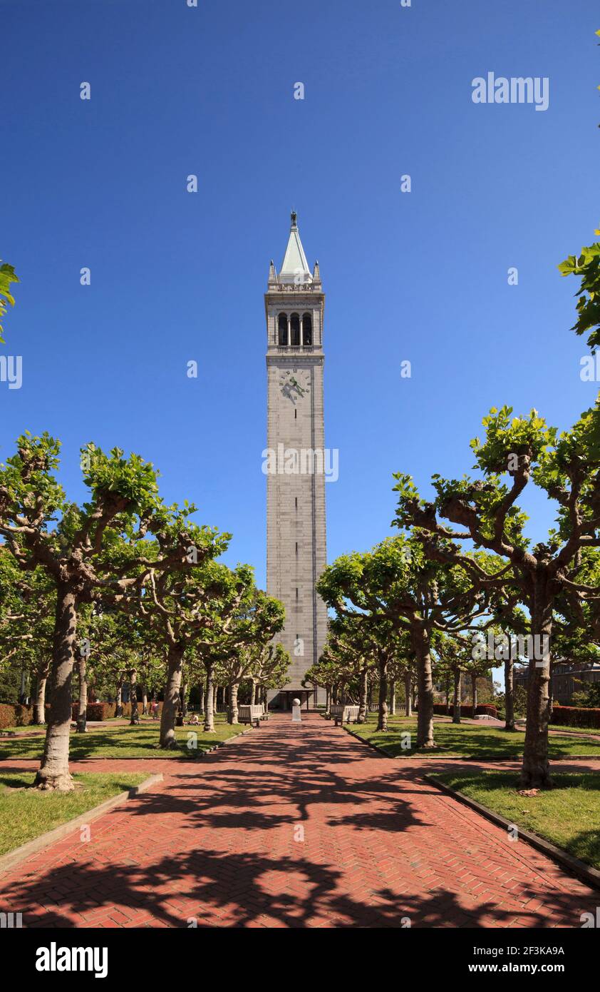 Campanile (Sather Tower) Berkeley, Kalifornien, USA Stockfoto