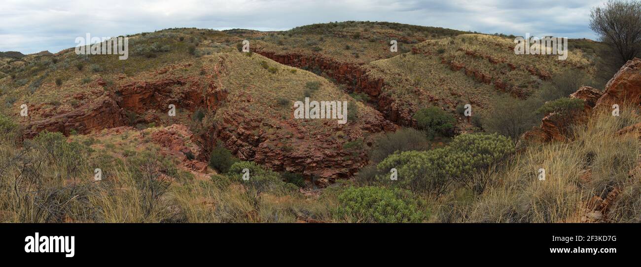 Landschaft bei Chain of Ponds Spaziergang im John Hayes Rockhole, East MacDonnell Ranges, Northern Territory, Australien Stockfoto