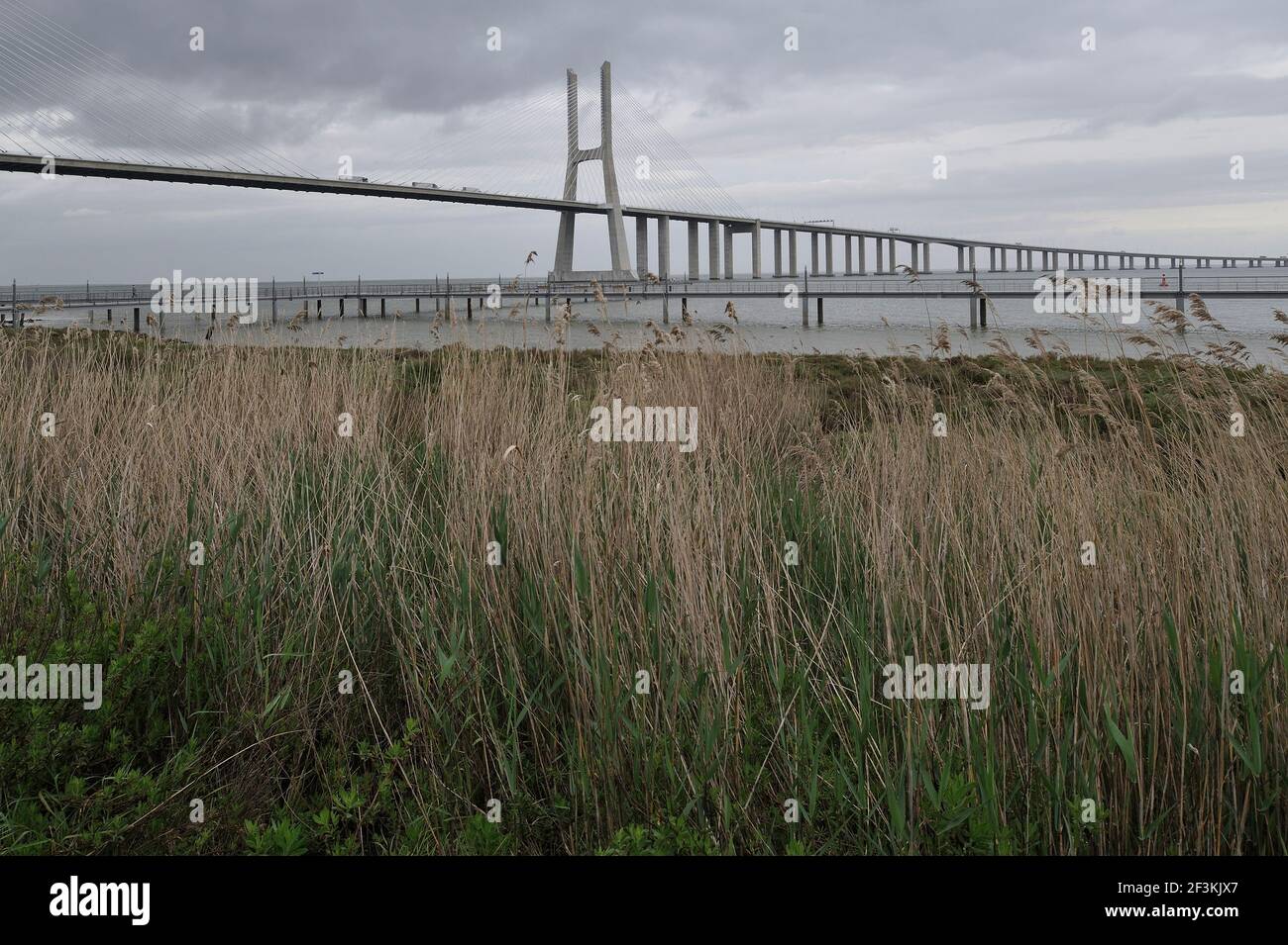 Vasco da Gama Brücke über den Tejo, Lissabon, Portugal. Vasco da Gama Brücke ist die längste in Europa, mit einer Gesamtlänge von 17,2 km. Bau f Stockfoto
