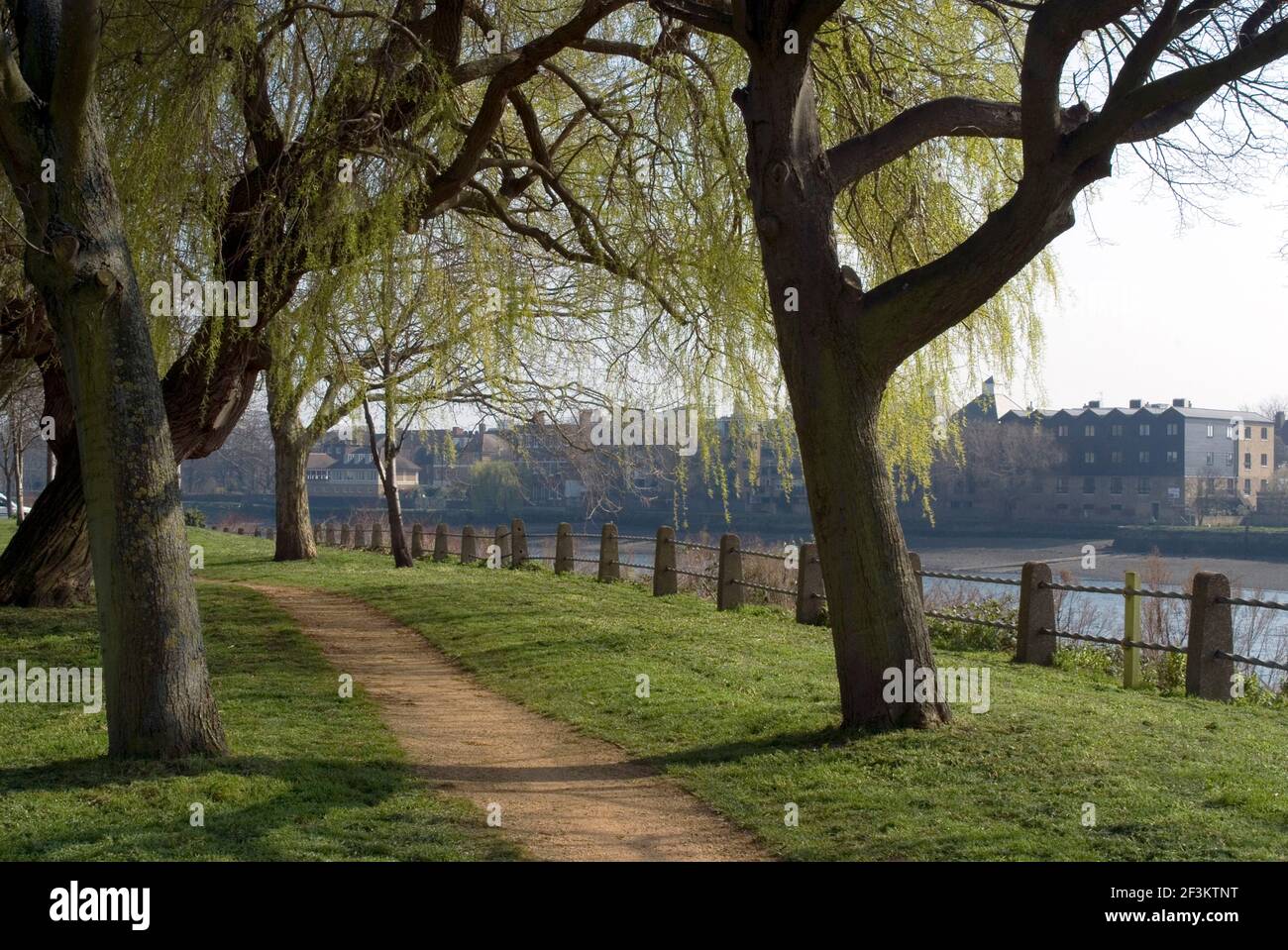 Spaziergang entlang der Themse, Chiswick, London W4, England Stockfoto