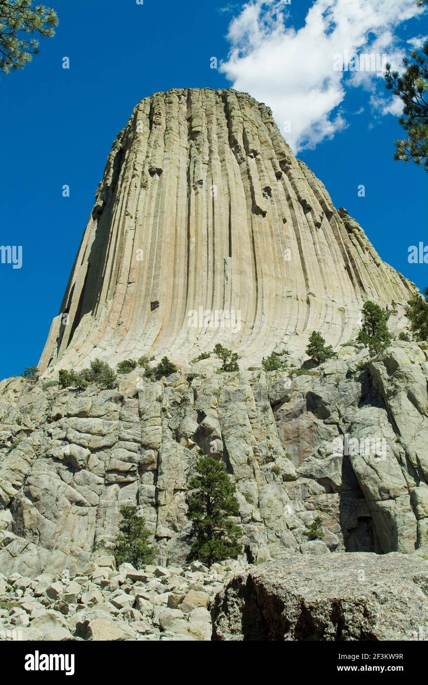 Devil's Tower, igneous Intrusion, Laccolith, The Black Hills, Wyoming, USA, berühmt für enge Begegnungen der dritten Art Stockfoto