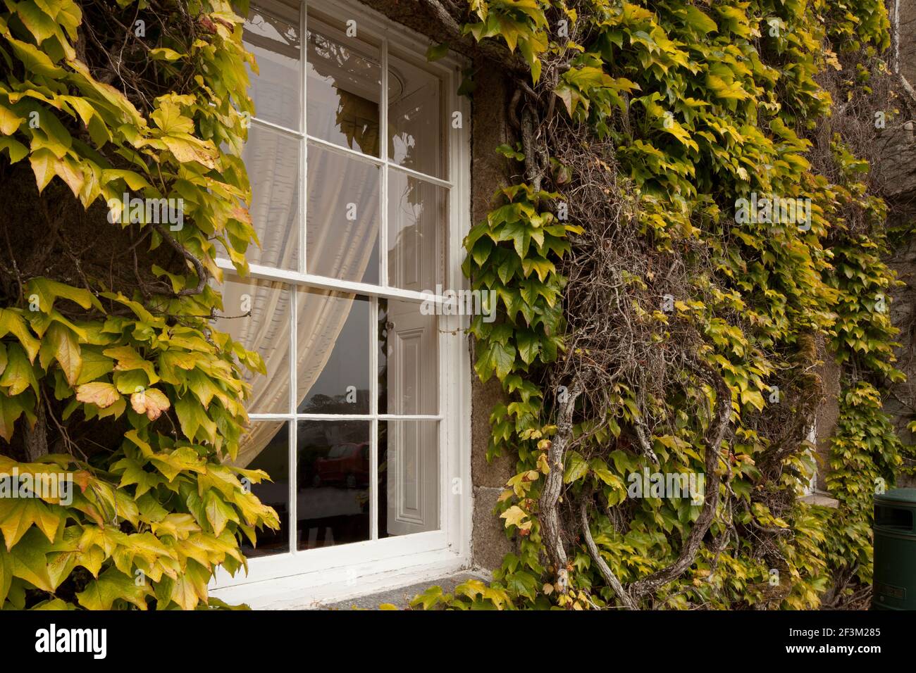 Tregenna Castle, St. Ives, Cornwall Stockfoto