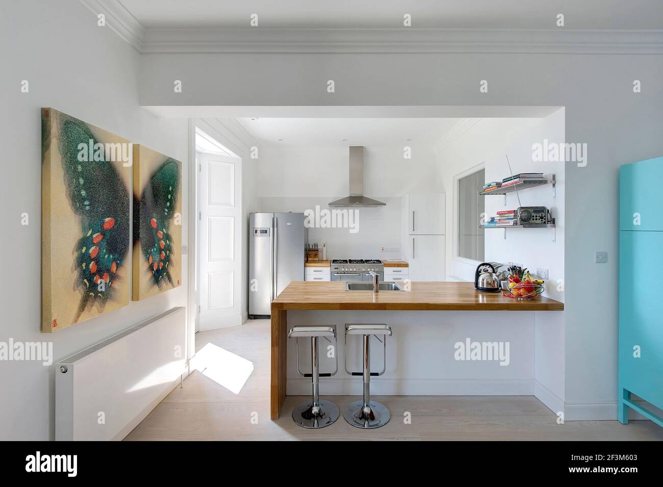 Moderne weiße offene Küche mit Schmetterlingskunst in Großbritannien Zu Hause Stockfoto
