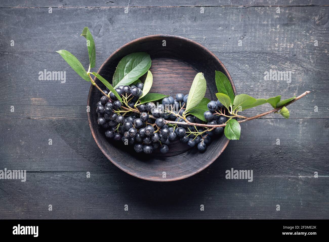 Ast gefüllt mit Aronia Beeren, auf Holztisch. Stockfoto