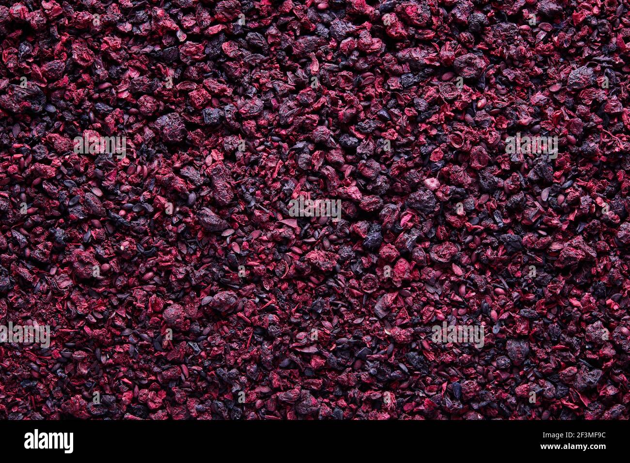 Bio getrockneter Aronia Tee. Getrocknete Aroniabeeren werden häufig verwendet, um antioxidationsreichen Kräutertee zu machen. Stockfoto