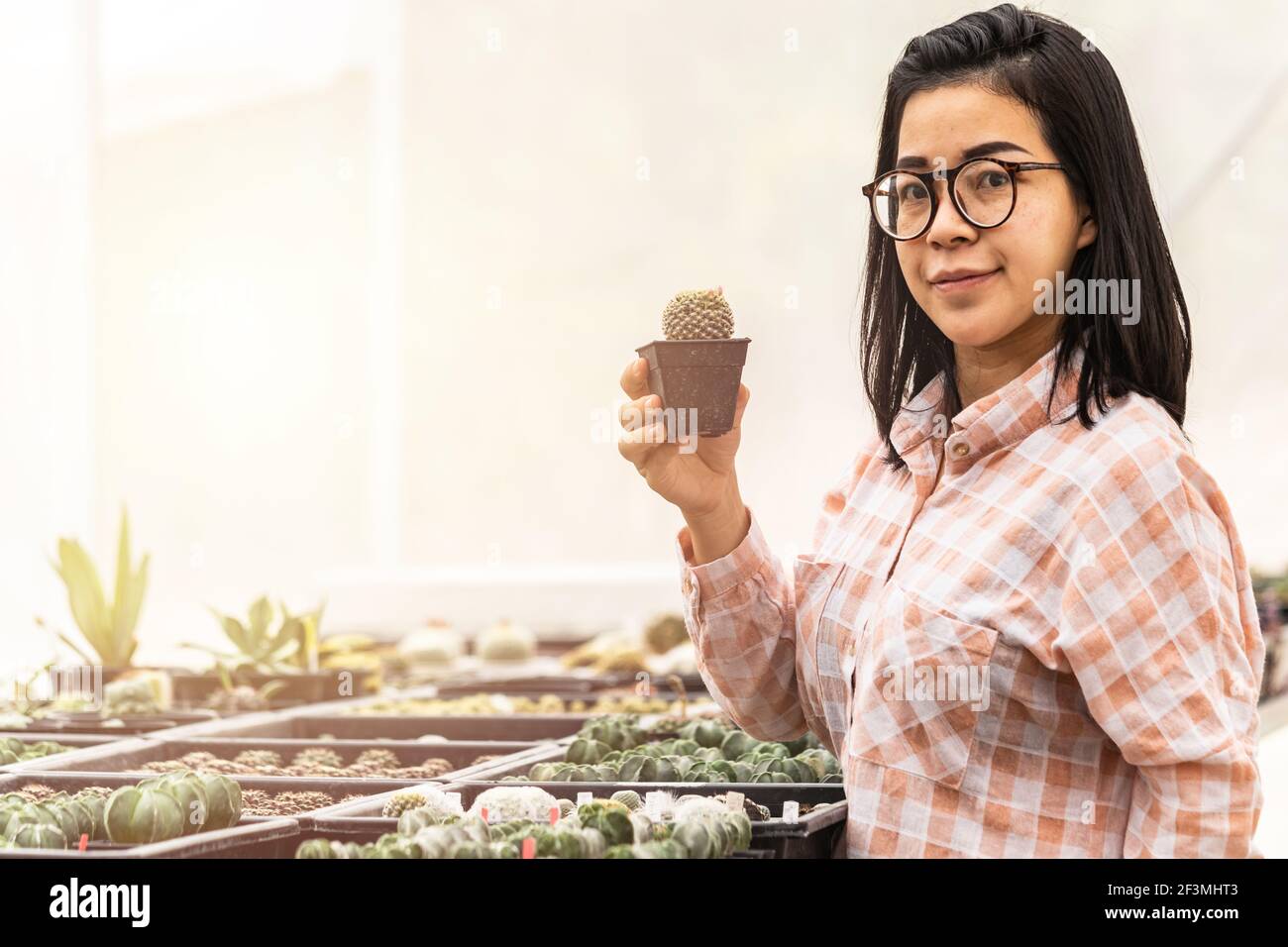 Authentische asiatische Frau lächelnd hält Kaktus in einem Kunststoff-Pflanzentopf im Kaktusladen. Konzept des Indoor-Gartenhauses. Stockfoto