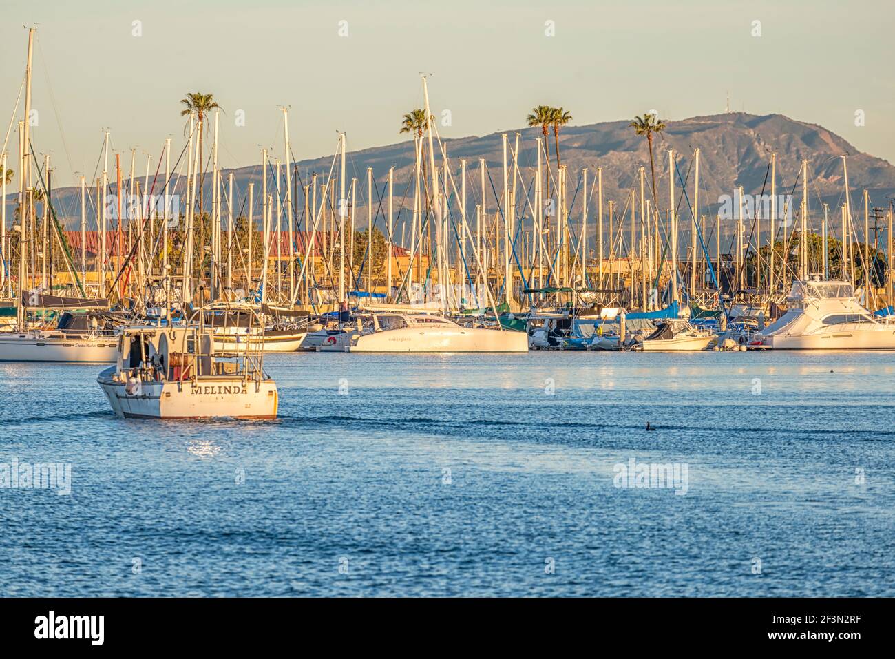 Oceanside Hafen an einem Wintermorgen. Oceanside, Kalifornien, USA. Stockfoto