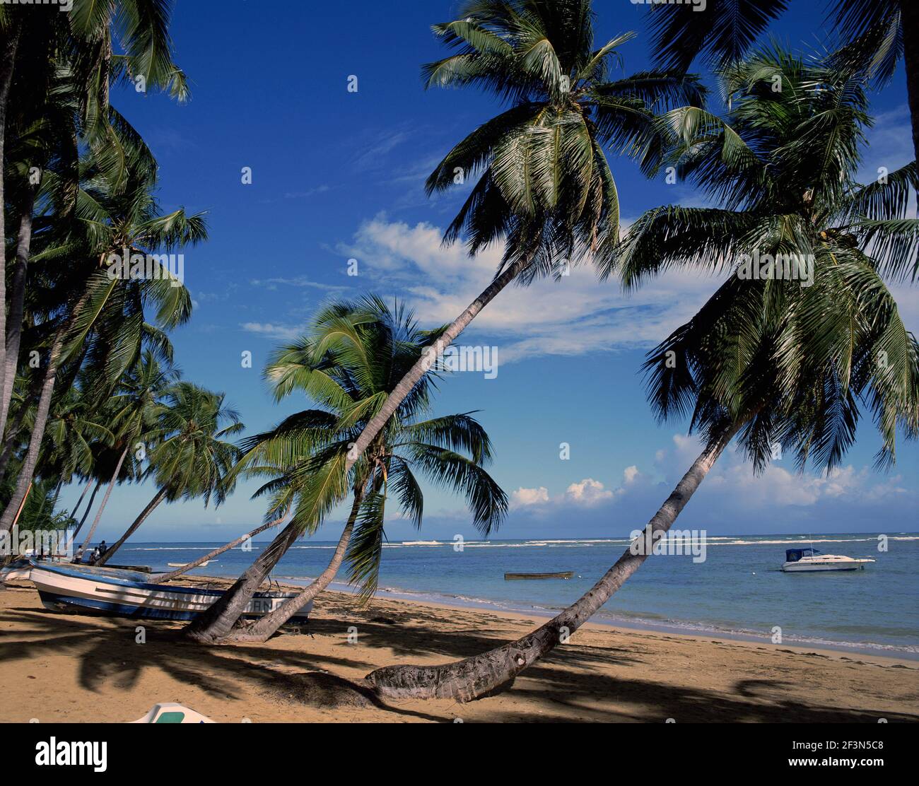 Las Terrenas Beach, Samana, Dominikanische Republik Stockfoto