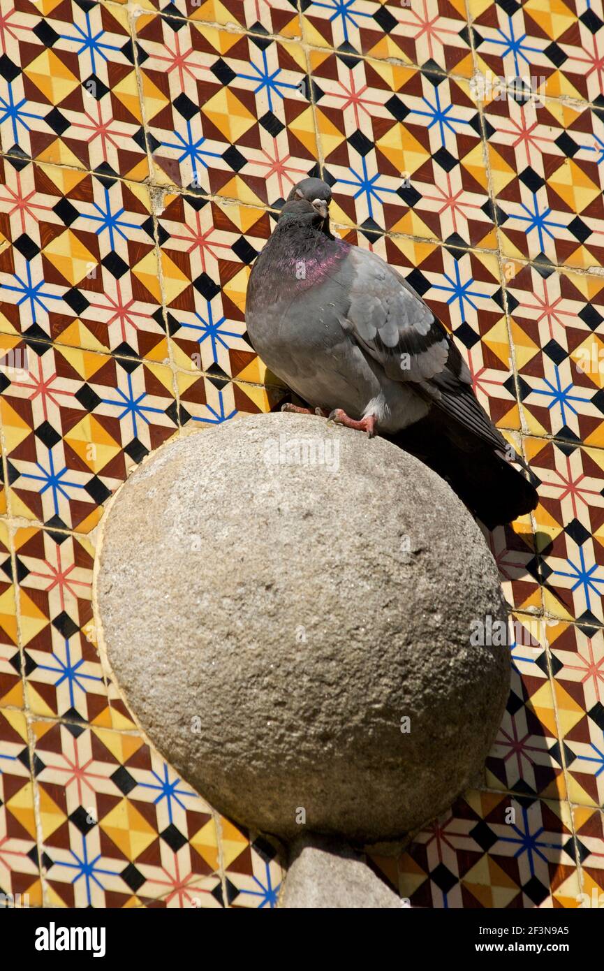 Viana do Castelo ist eine Stadt in der Region Minho, und ein Hafen mit historischen Gebäuden. Stockfoto
