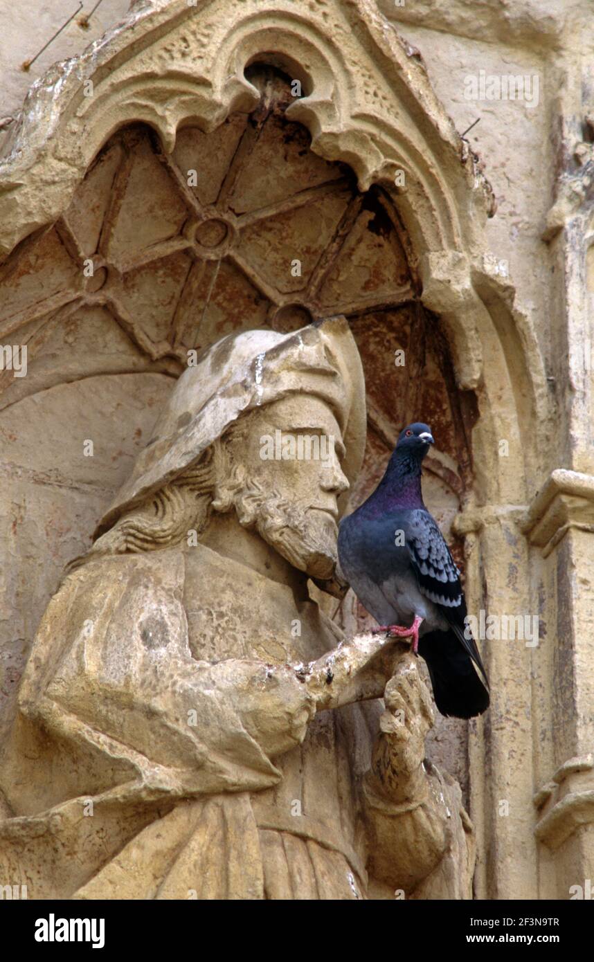 Vor der Kathedrale von Exeter an der Westfassade befindet sich eine Statue des hl. Jakobus. Stockfoto