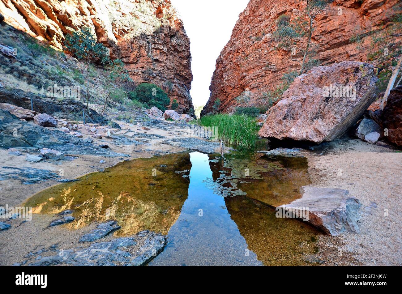 Australien, Northern Territory, Wasserloch in Simpson Gap Stockfoto