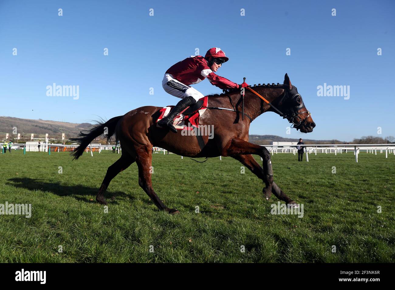 Tiger Roll und Jockey Keith Donoghue auf dem Weg zum Gewinn der Glenfarcras Chase (A Cross Country Chase) während des zweiten Tages des Cheltenham Festivals auf der Cheltenham Rennbahn. Bilddatum: Mittwoch, 17. März 2021. Stockfoto