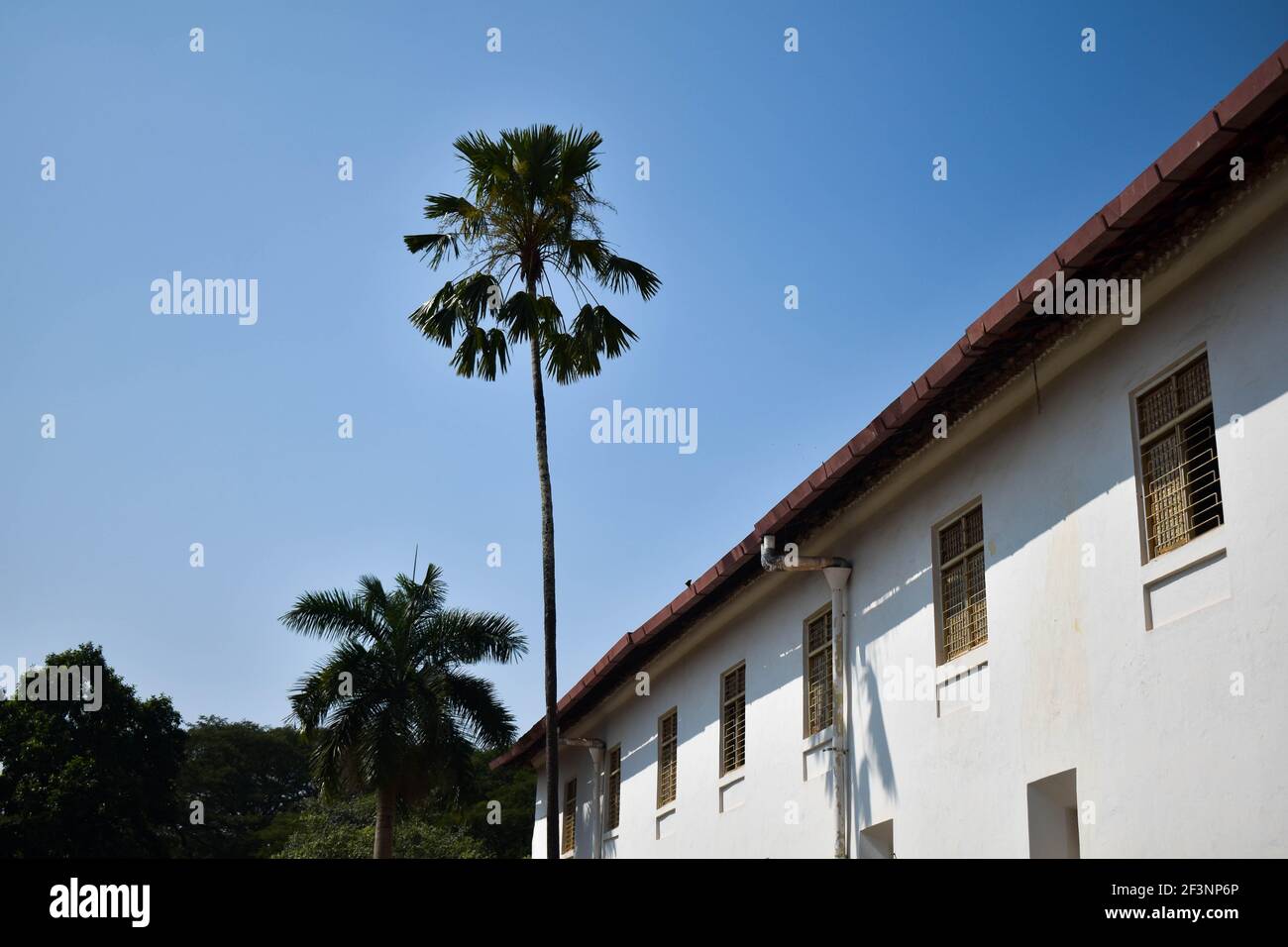 Archäologisches Museum in goa in der Nähe der Basilika von bom jesus Kirche Mit blauem Himmel Stockfoto