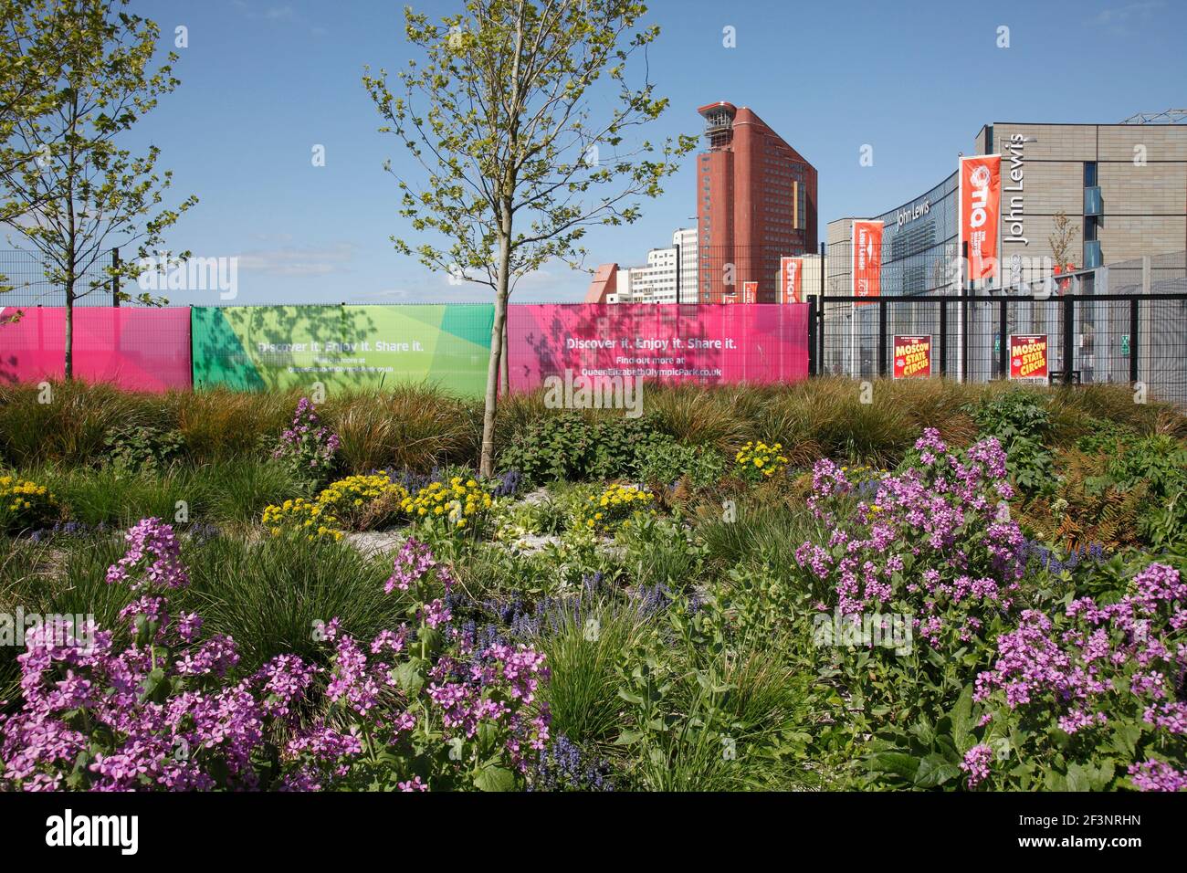 Bepflanzung am Eingang zum Olympic Park mit einem Teil des Westfield Shopping Centers und Studentenwohnungsblock darüber hinaus: LDA/Hargreaves Associates Stockfoto