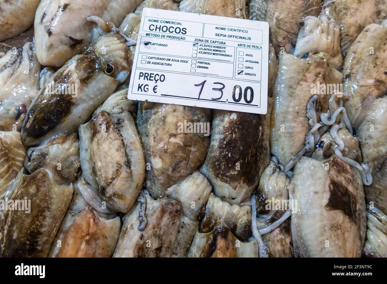 Tintenfisch auf dem Markt in Tavira, Algarve Portugal Stockfoto