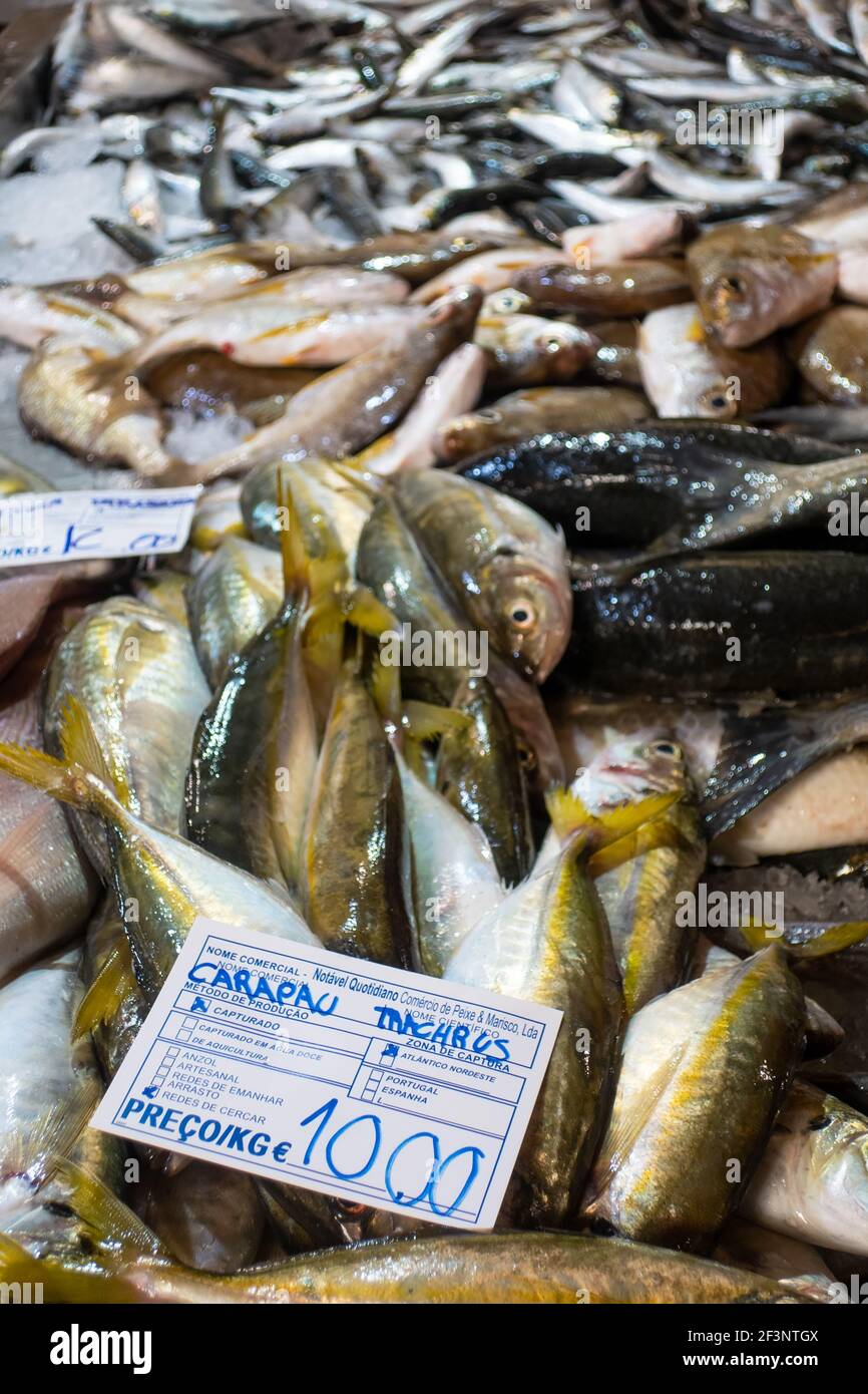 Sorten von frischem Fisch auf dem Markt in Tavira, Algarve Portugal Stockfoto