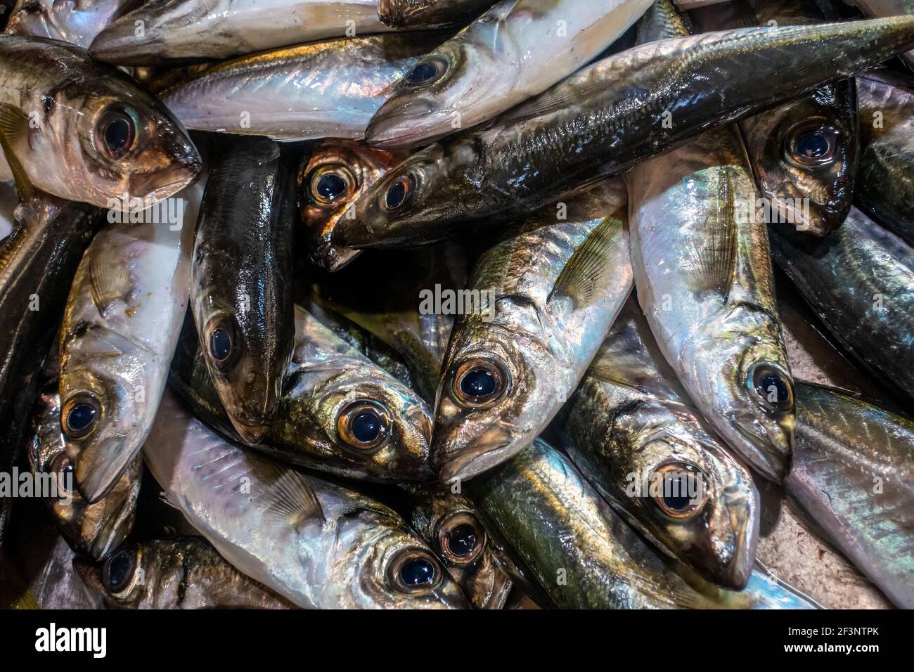 Sorten von frischem Fisch auf dem Markt in Tavira, Algarve Portugal Stockfoto