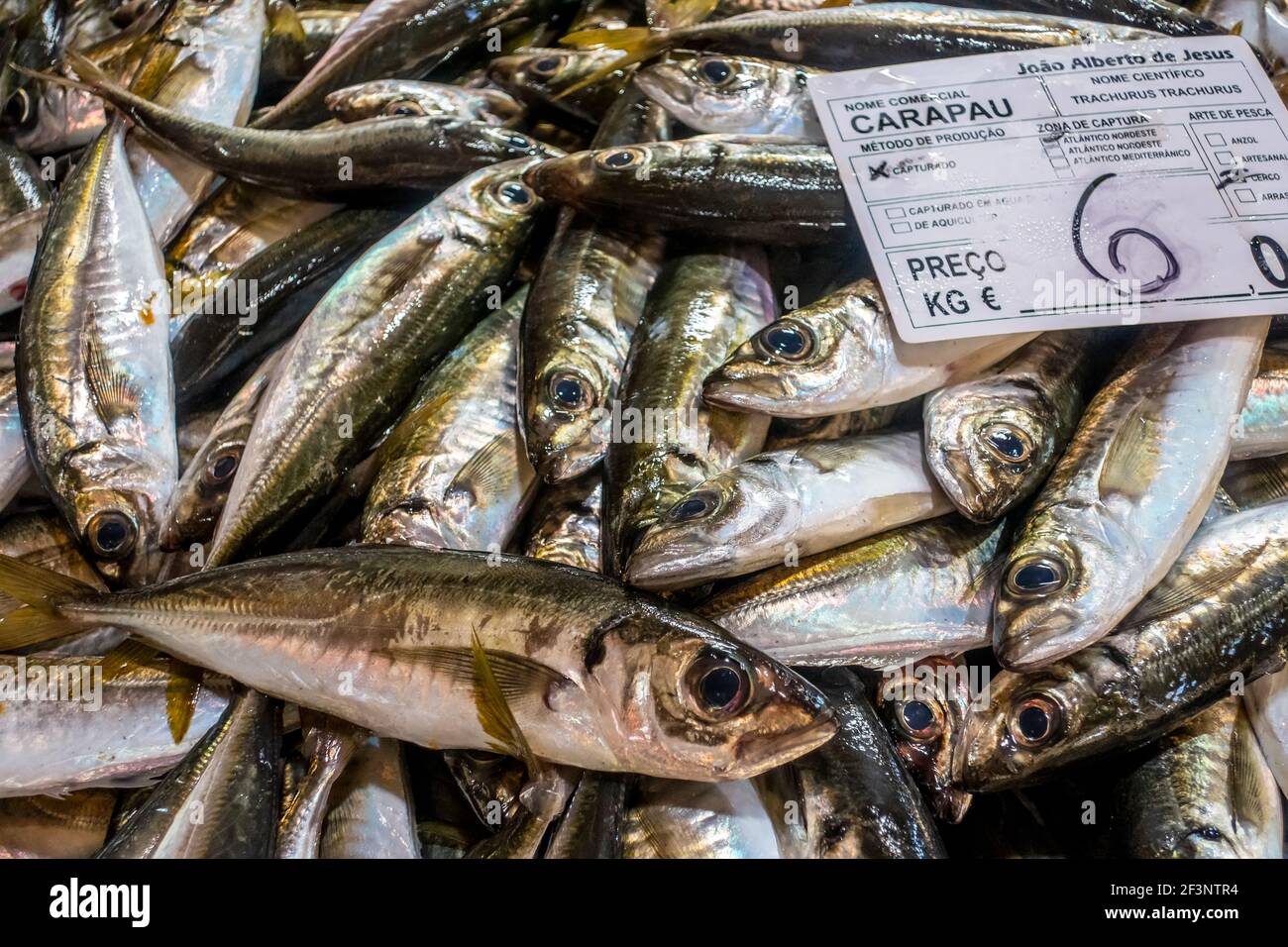 Sorten von frischem Fisch auf dem Markt in Tavira, Algarve Portugal Stockfoto