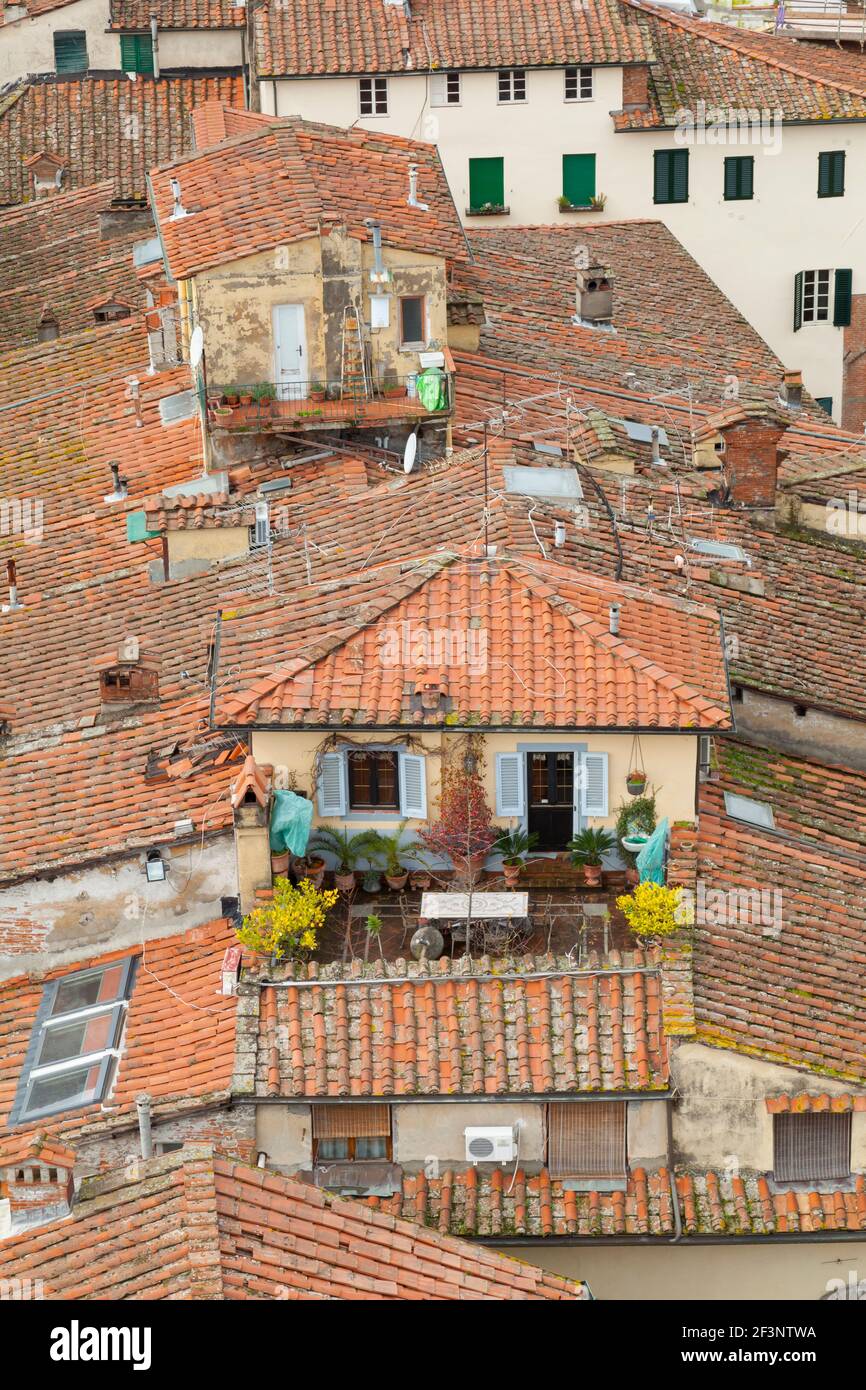 Allgemeine Ansichten der typischen toskanischen Architektur, Häuser und Dächer in Lucca, Toskana. Das ist der Blick vom Torre Guinigi in Lucca. Stockfoto