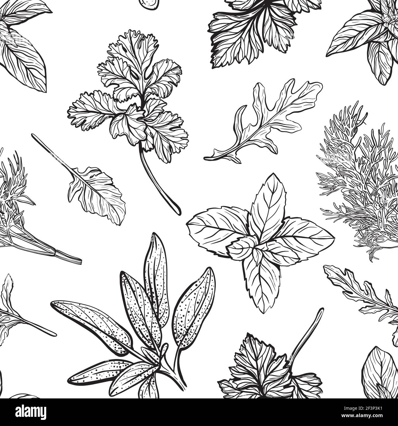 Wilde kräuter zum ausmalen Schwarzweiß-Stockfotos und -bilder - Alamy