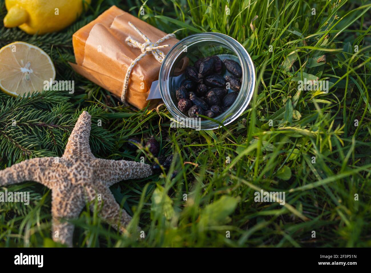 Natürliche Reinigungsmittel. Naturseife, getrocknete Beeren, Zitrone und Seesterne auf dem Gras. Außenhintergrund. Stockfoto