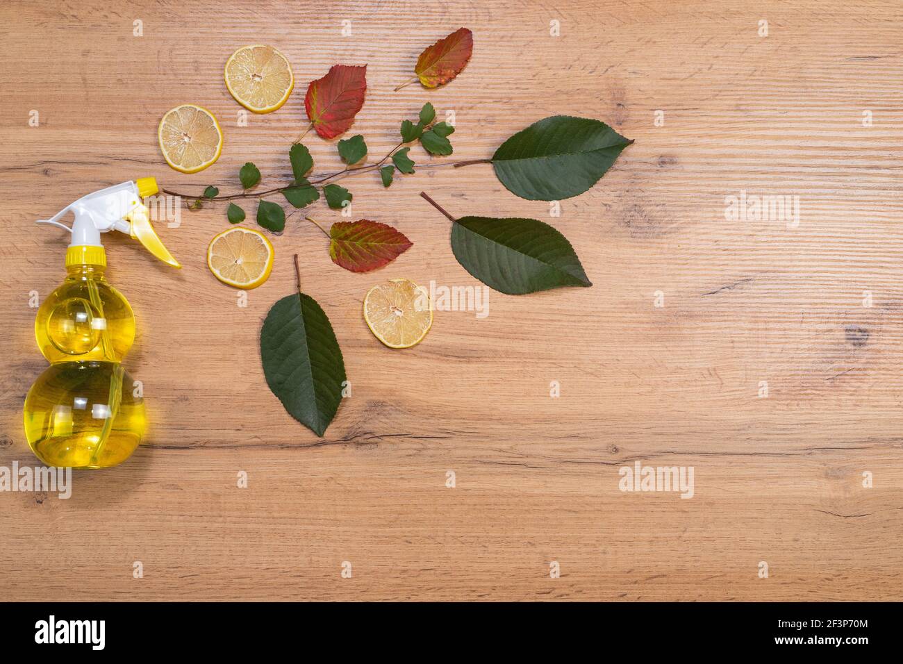Natürliches Zitronenmittel. Spray zur Reinigung von Oberflächen. Aerosol für Luft auf einem Holztisch mit Zitronenkeilen. Leerer Seitenraum für Text oder Werbung. Stockfoto