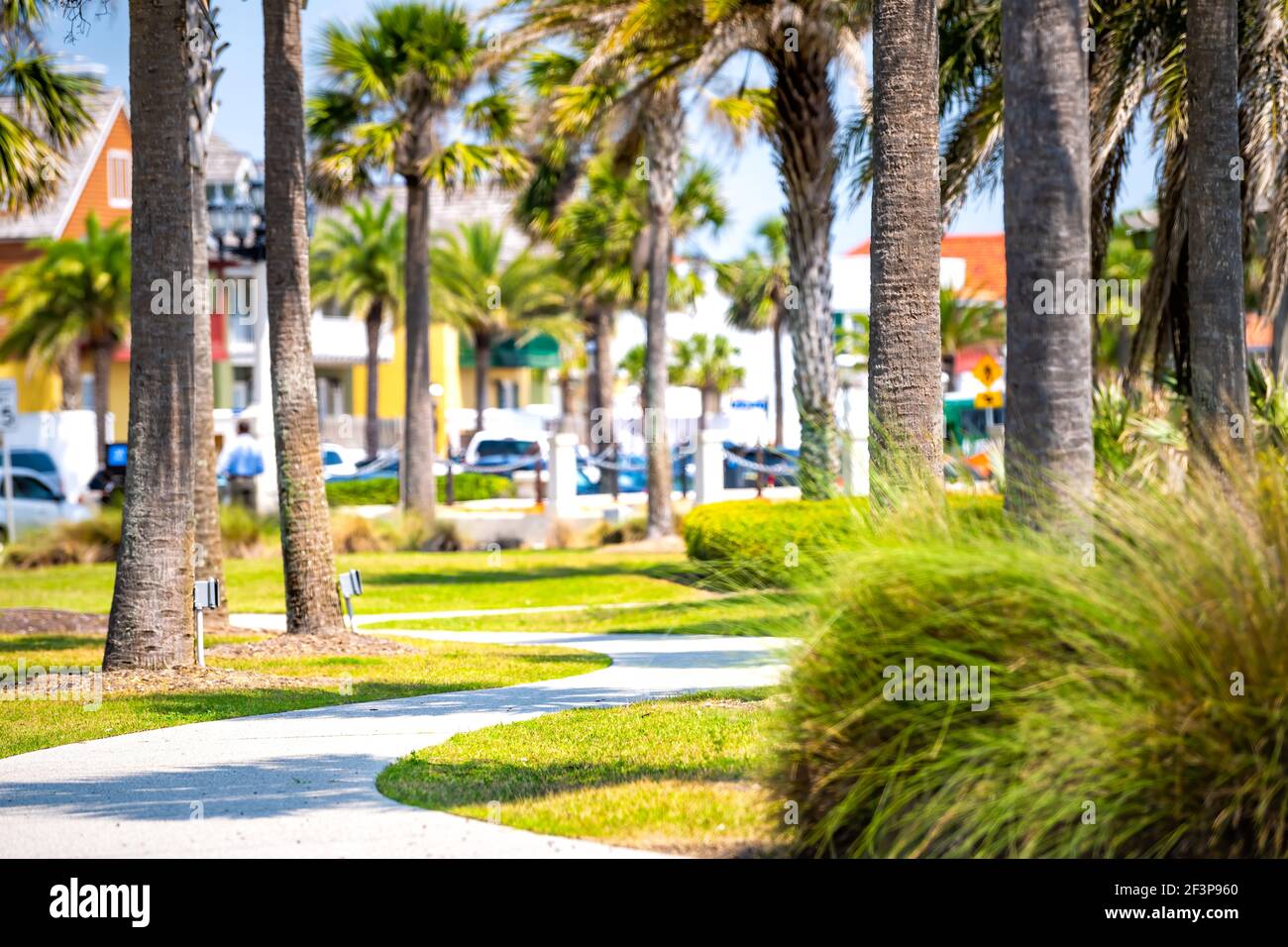 Green Park in St. Augustine, Florida mit Palmen und Fußgänger gepflasterten Weg mit Gebäuden, Menschen in verschwommenen Hintergrund im sonnigen Sommer Stockfoto