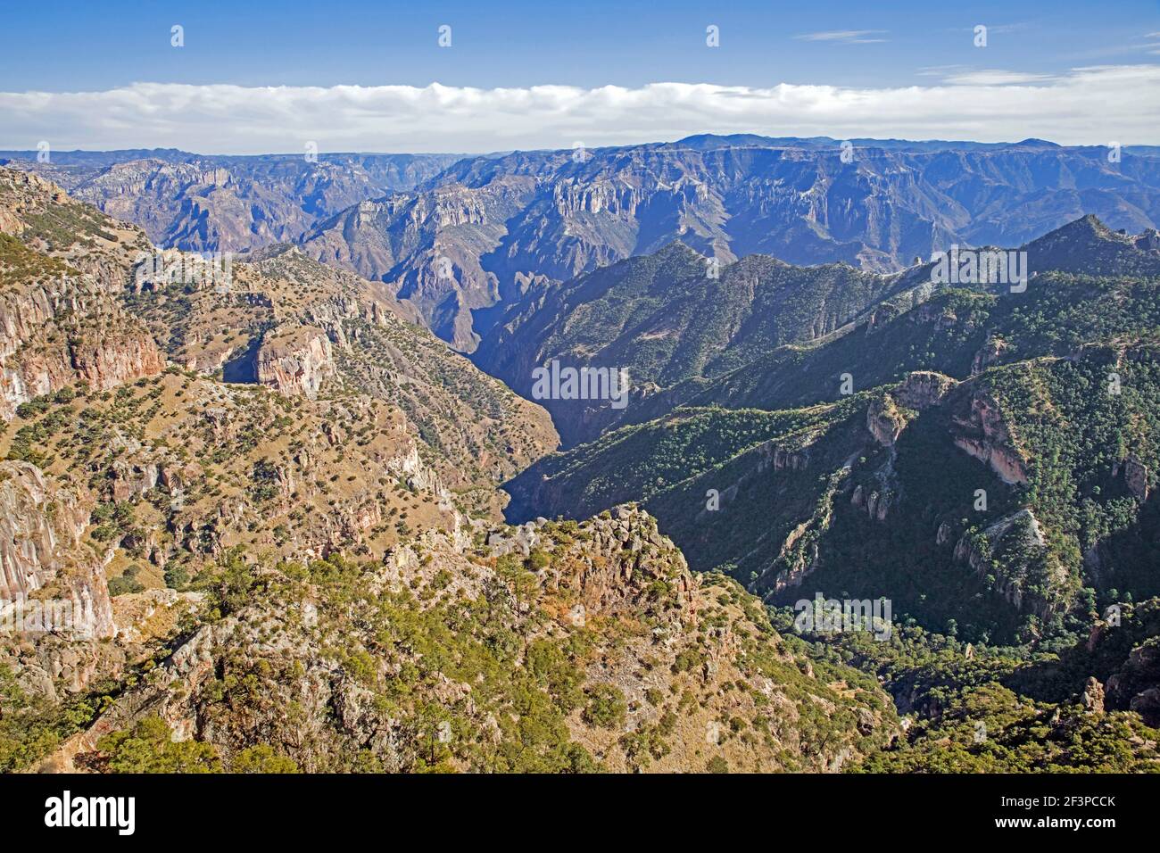 Blick über den Copper Canyon / Barrancas del Cobre in der Nähe El Divisadero in der Sierra Madre Occidental in Chihuahua in Nordwest-Mexiko Stockfoto