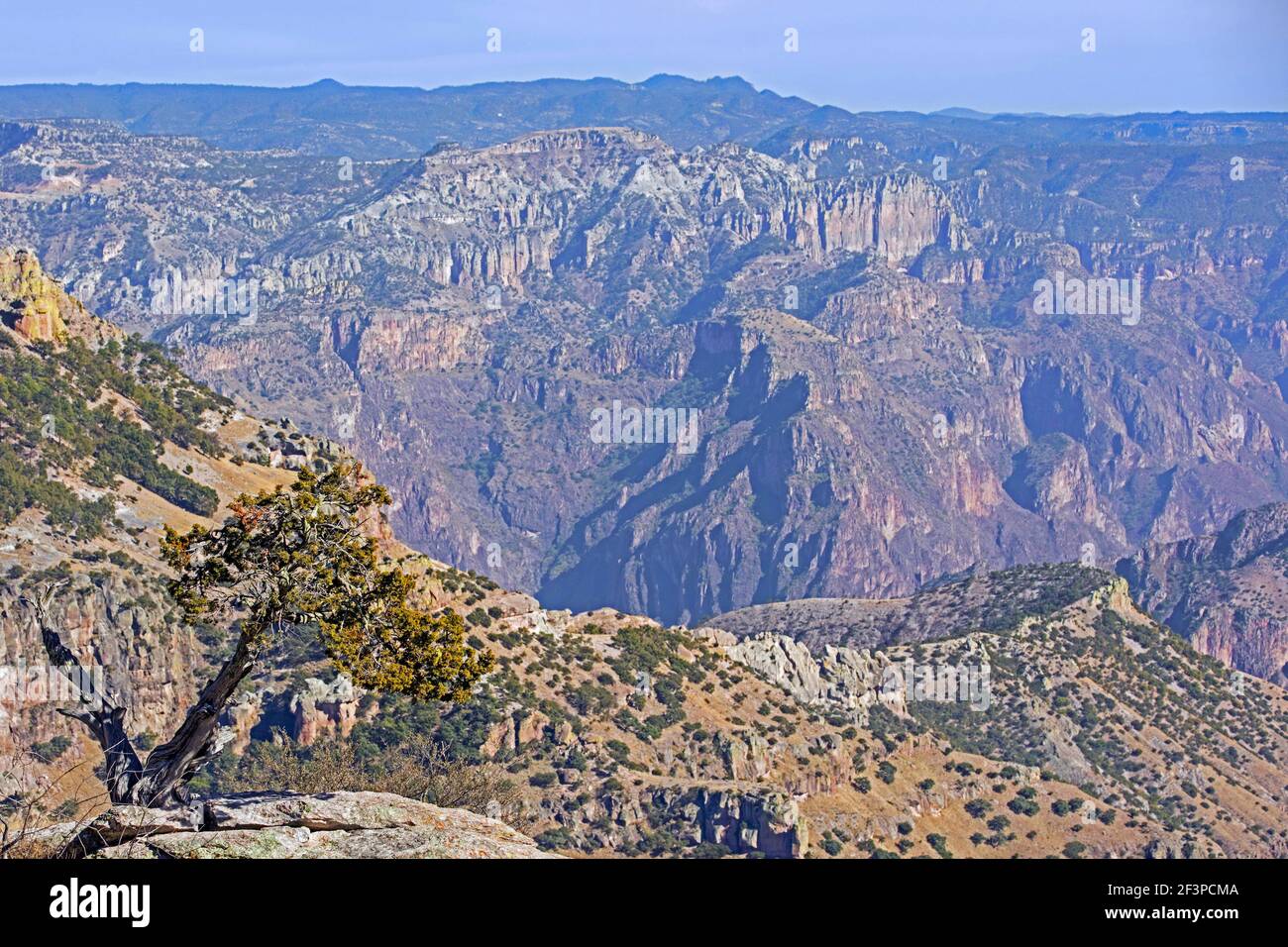 Blick über den Copper Canyon / Barrancas del Cobre in der Nähe El Divisadero in der Sierra Madre Occidental in Chihuahua in Nordwest-Mexiko Stockfoto