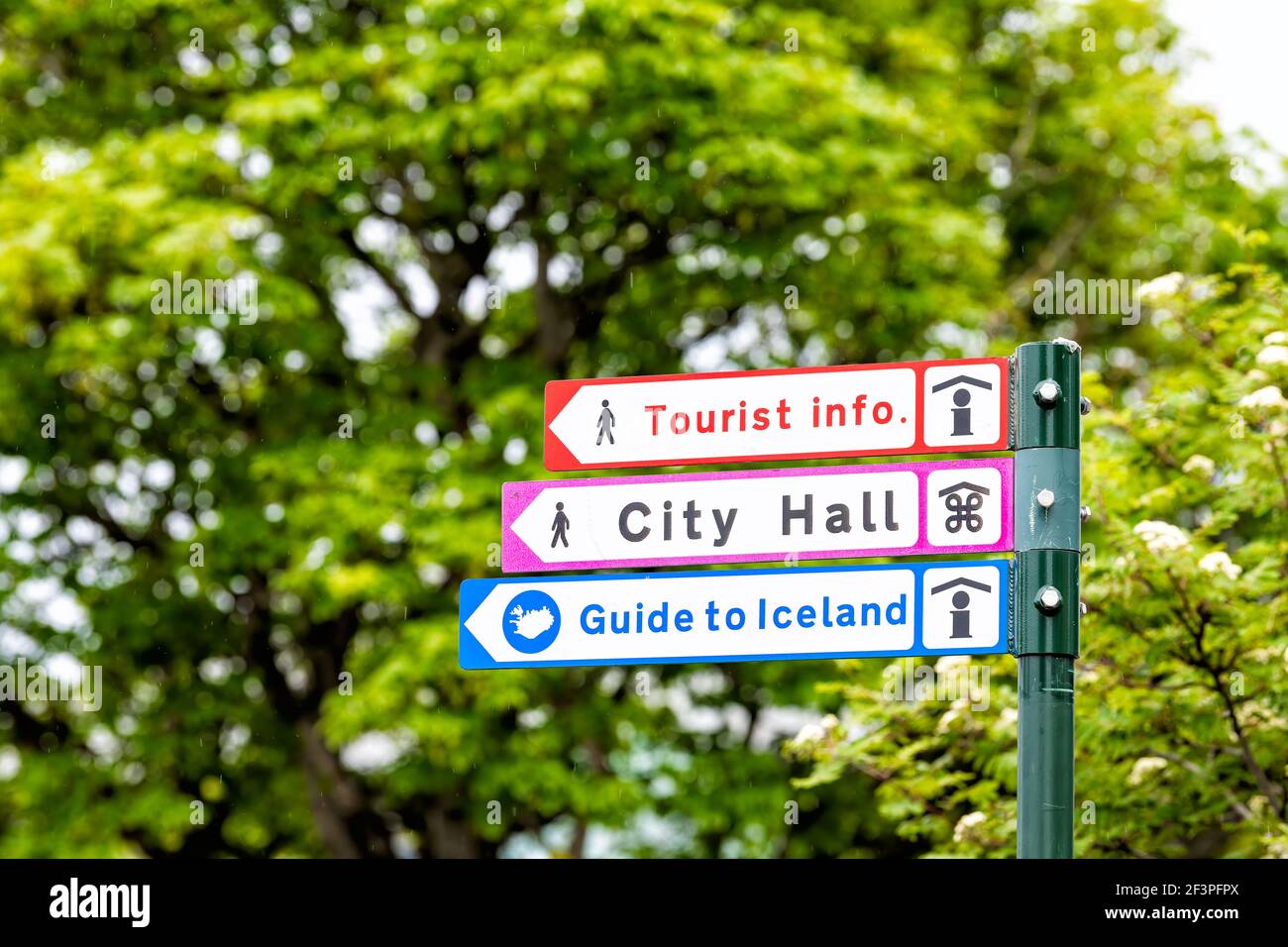 Reykjavik, Island Straße in der Innenstadt und Schild von grünen Bäumen Park für die Wegbeschreibung zu Touristeninformation, Rathaus und Führer zum Land Stockfoto