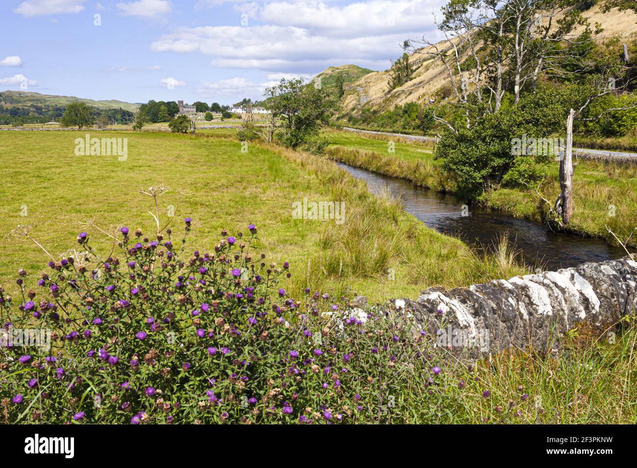 Kilmartin Burn aus der historischen Stadt Kilmartin in Kilmartin Glen, Argyll & Bute, Schottland, Großbritannien Stockfoto