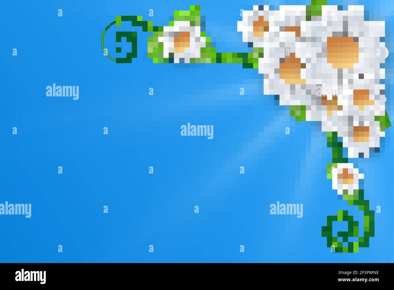 Weiße Blumen auf blauem Hintergrund Stock Vektor