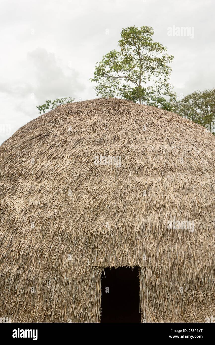 Traditionelles indigenes Haus aus Stroh und Holz Heimat von einheimischen Familien aus der Gemeinde im Amazonas Regenwald an einem sonnigen Sommertag. Indisch. Stockfoto