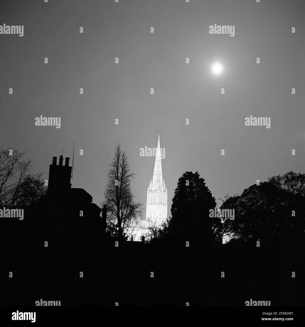 SALISBURY CATHEDRAL, Wiltshire. Die Cathedral Church of St Mary ragt über Silhouetten Gebäude und Bäume, und beleuchtet gegen den Nachthimmel b Stockfoto