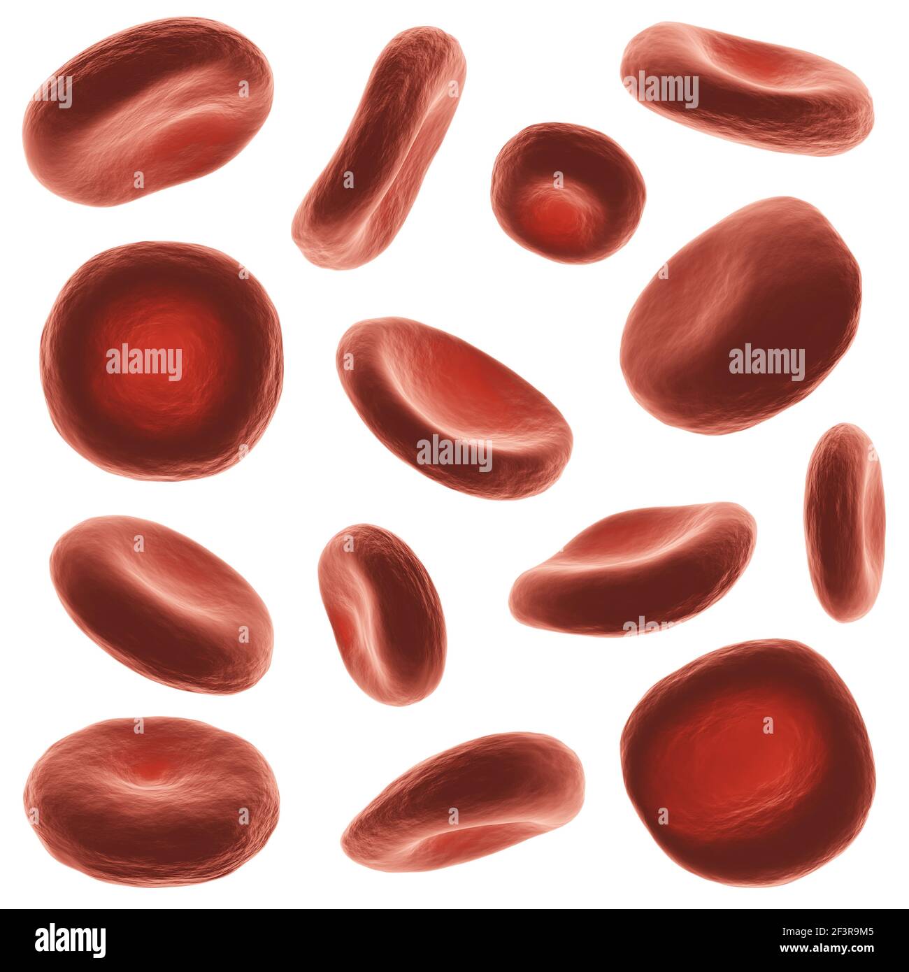 Rote Blutkörperchen mit hoher detaillierter Oberfläche. Satz von verschiedenen Ansicht und Form . Weißer isolierter Hintergrund . 3D Rendering . Stockfoto