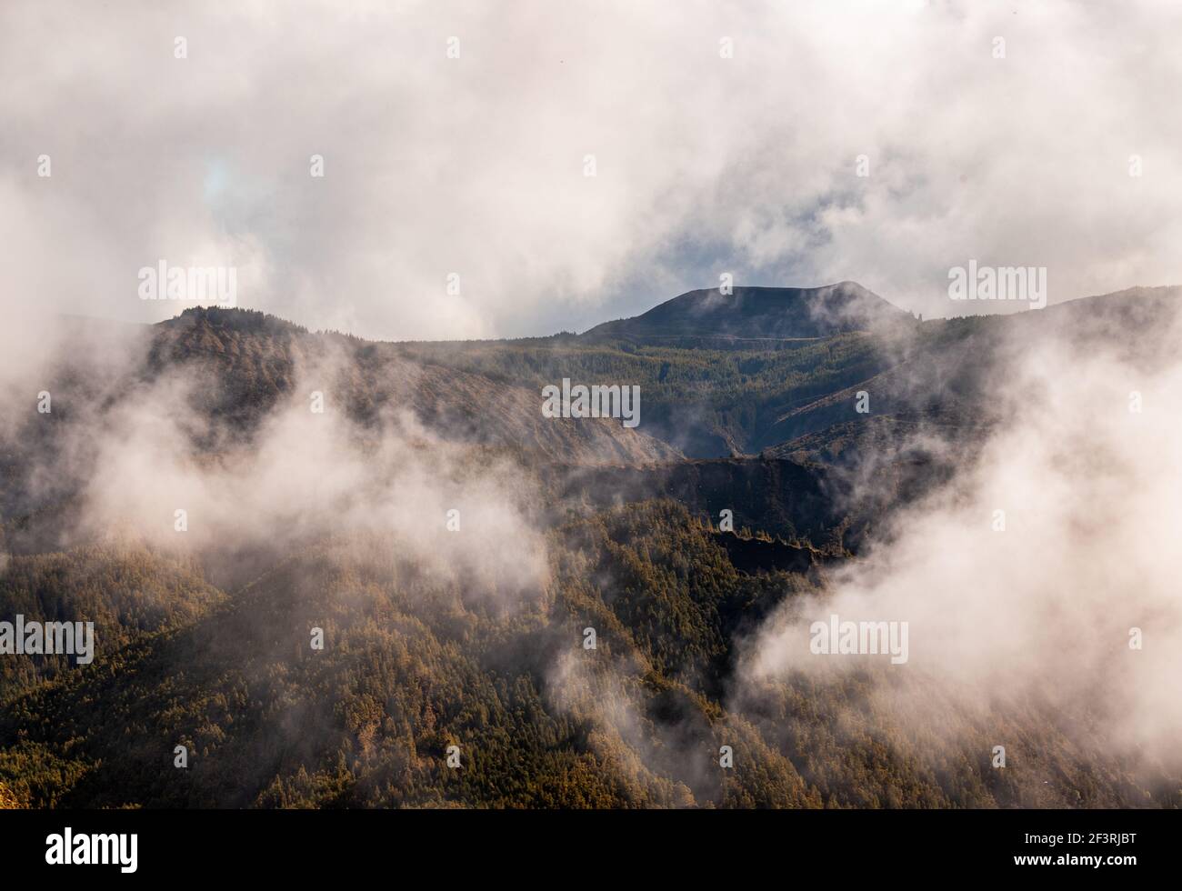 Nebel in den grünen Bergen, aufgenommen auf Sao Miguel Insel, Azoren Reiseziel. Stockfoto