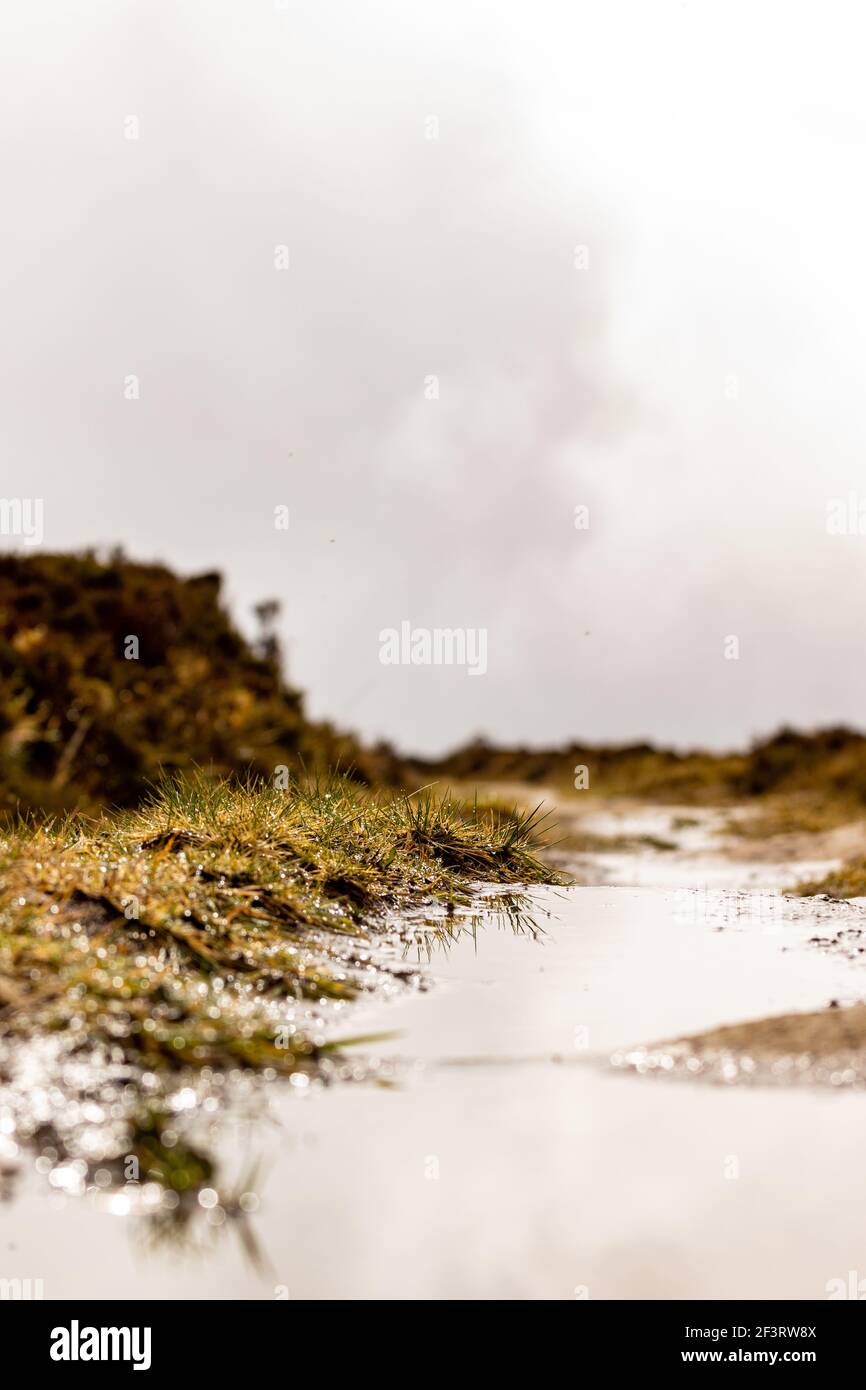 Outdoor-Pfad in der Natur, mit grüner Vegetation und Wolken im Hintergrund. Stockfoto