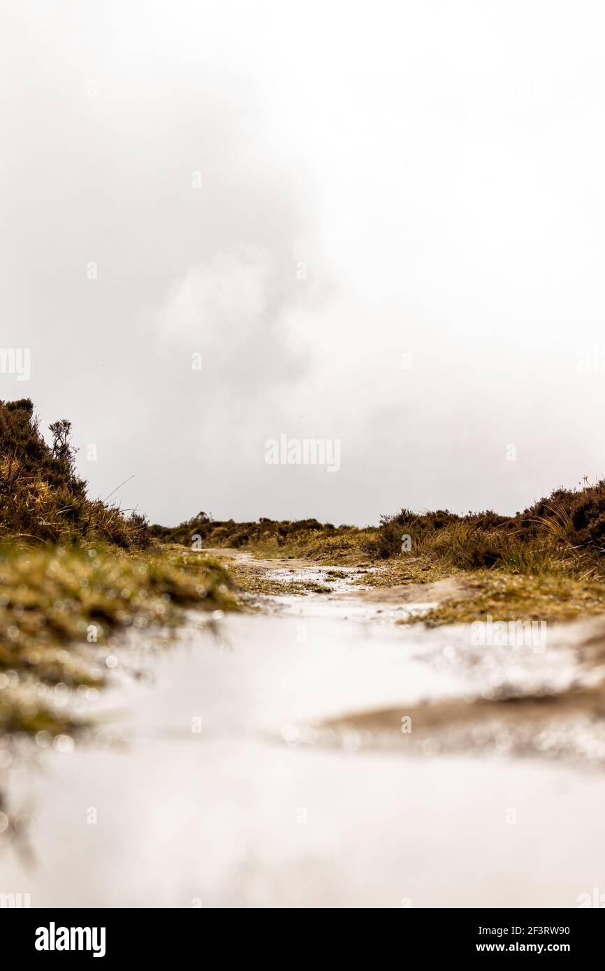Outdoor-Pfad in der Natur, mit grüner Vegetation und Wolken im Hintergrund. Stockfoto