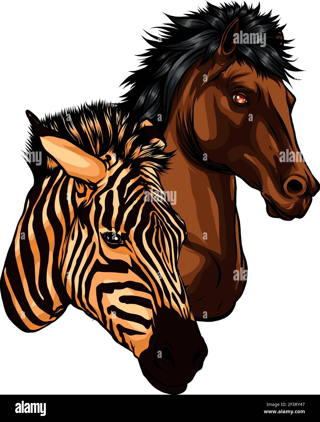 vektor-Illustration der Köpfe Zebra und Pferd Stock Vektor
