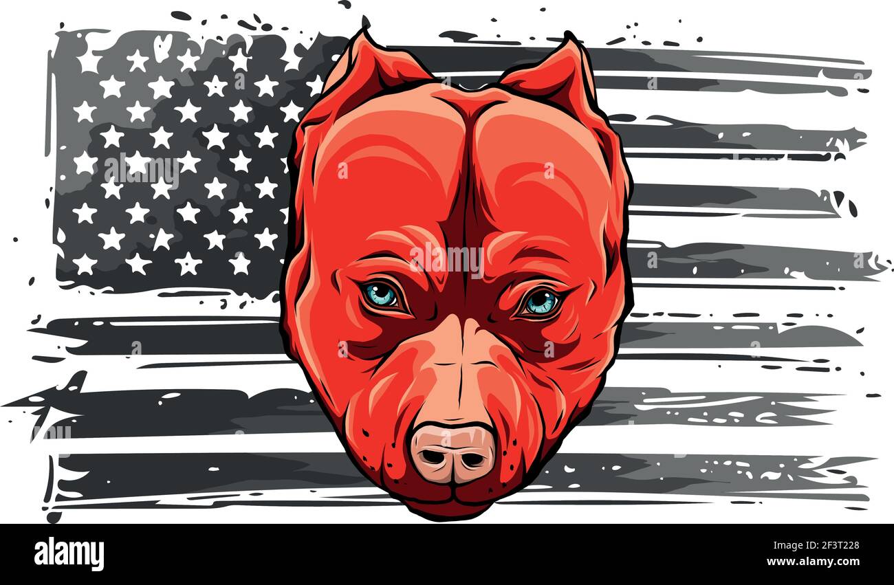 amerikanische Flagge mit Kopf des Hundes Vektor-Illustration Stock Vektor