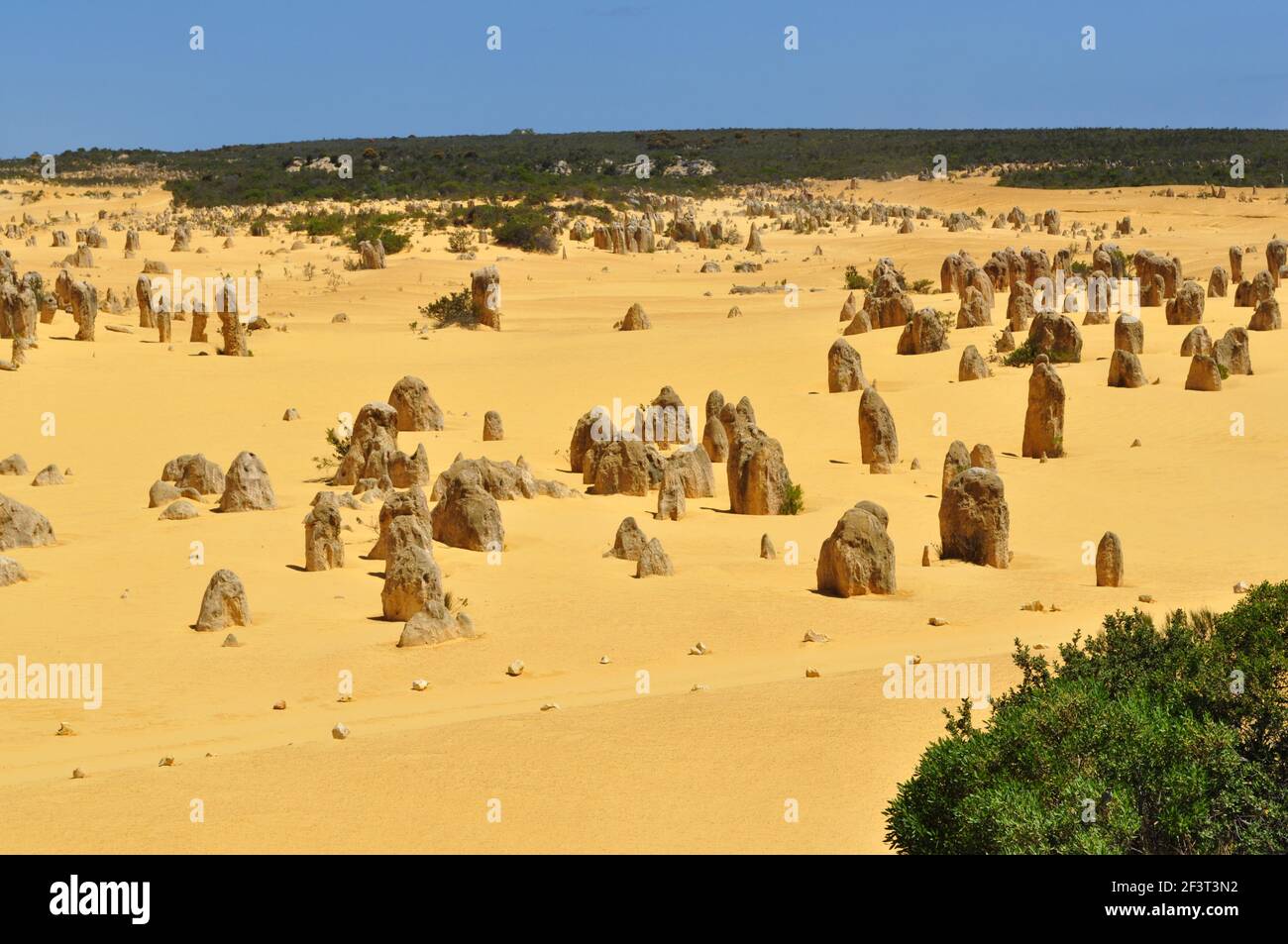 Die Pinnacles Desert WA Stockfoto